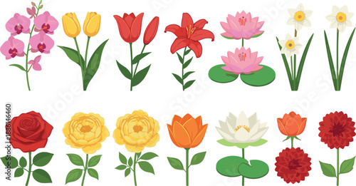 Colorful garden flower vector set with roses, tulips, lilies, lotus and daffodils in bloom
