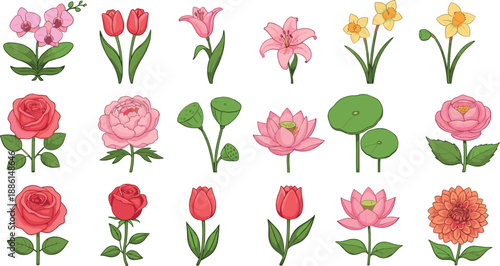 Hand drawn colorful flower vector set with roses, tulips, lilies and lotus in blooming styles