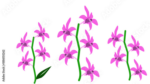 Seamless floral pattern with pink orchid flowers for decorative backgrounds