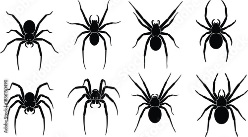 Black Spider Silhouettes Vector Set Scary Halloween Arachnid Shapes Creepy Insect Icons Collection For Horror Design Party Gothic Tattoo Decoration