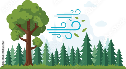 A serene forest landscape with trees swaying gently in the wind from a distant viewpoint