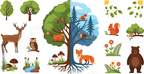 Illustration of forest ecosystem elements including animals and plants from various viewpoints
