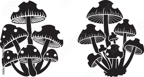 Silhouette of two clusters of mushrooms 