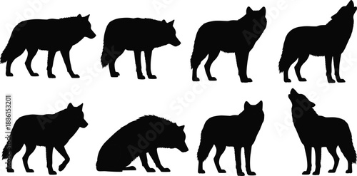 Set of Wolf Silhouettes and Wild Dog Icons for Forest Wildlife Design Predator Animal Pack Hunting Graphic and Howling Wolf Logo Illustration