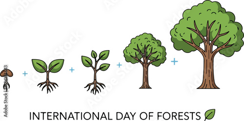 Illustration depicting the growth stages of a tree from seed to maturity on International Day of Forests