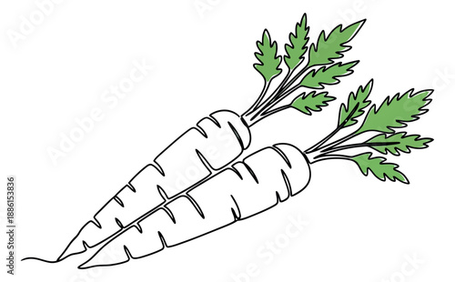 Continuous line art vegetable set featuring two fresh carrots with green leaves for healthy food and market designs