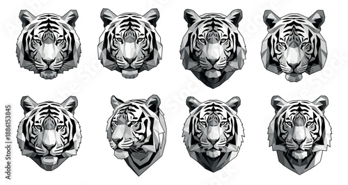 Geometric white tiger head set featuring various fierce expressions and angles for wildlife and sports branding
