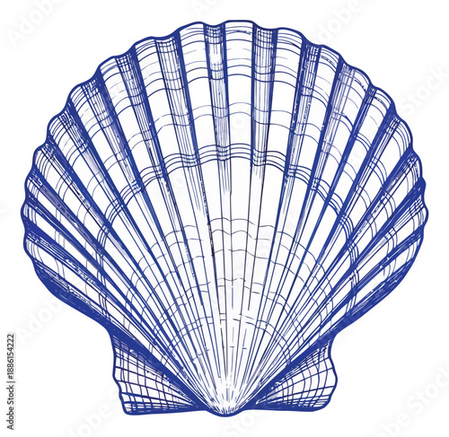 Hand drawn line art illustration of a scallop shell depicting its natural ribbed pattern for ocean and seafood themes