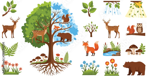 Diverse forest wildlife and plants illustration featuring animals and trees in their natural habitat from various viewpoints