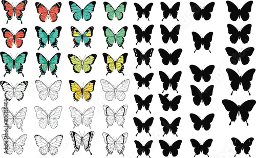Butterfly illustrations, colorful to silhouette, species variety, vector transition, entomology study, black design, minimal layout, wing patterns, nature icons