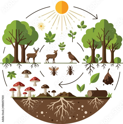 Ecosystem Cycle A Vibrant Illustration of Nature's Interconnectedness, from Sunlight to Soil