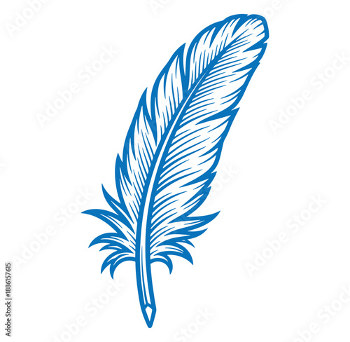 blue feather illustration with detailed lines and texture one object