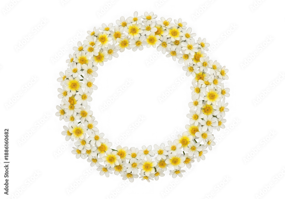Obraz premium Daisy flower wreath circle