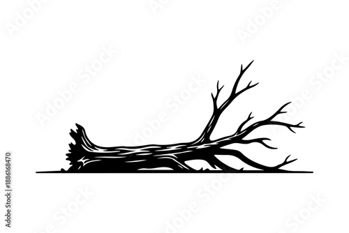Fallen tree trunk black silhouette with bare branches lying on the ground.
