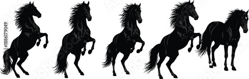 Set of black stallion horse silhouettes rearing up and standing isolated on white background for equine logo design and tattoos