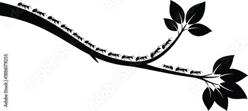 Silhouette of ants walking on tree branch with leaves, symbolizing teamwork, nature, and insect behavior in vector art