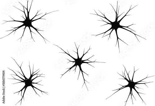 Stylized black neuron silhouettes with branching dendrites and axons in scientific vector illustration of nervous system cells