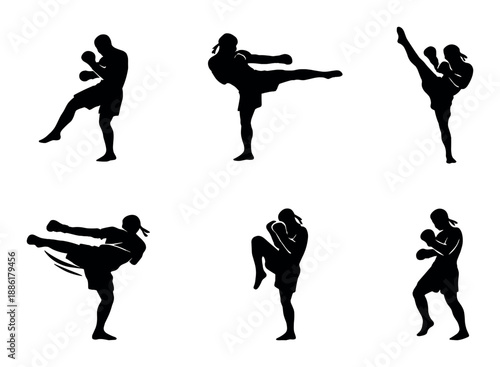 Silhouette of dynamic martial arts poses by male fighter kicking and punching