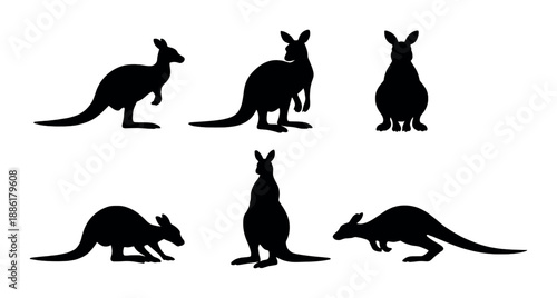 Silhouette of five kangaroos in various poses against white background