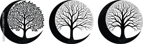 Three crescent moon tree silhouettes representing seasonal stages in symbolic black vector design of nature and life cycles