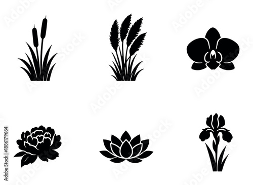 Silhouette of lotus and water plants on black background
