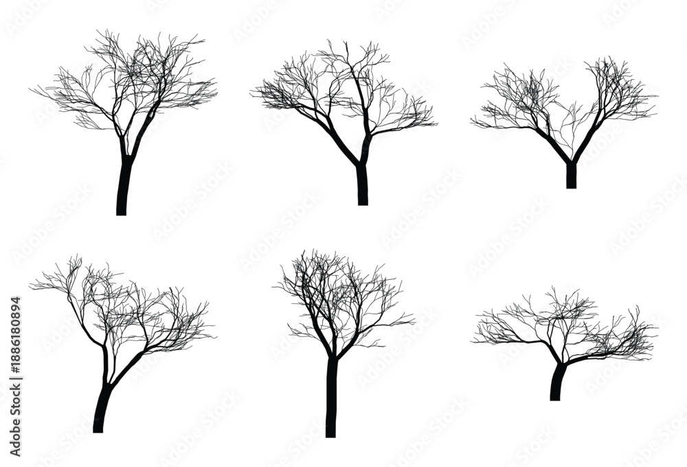 Obraz premium Collection of bare tree silhouettes isolated on a white background