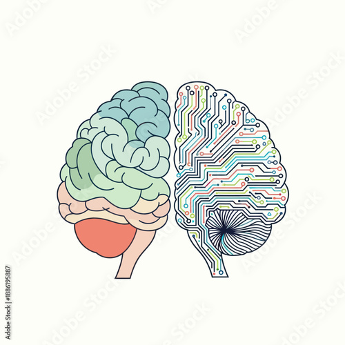 Human Brain Compared to Circuit Board Illustration.