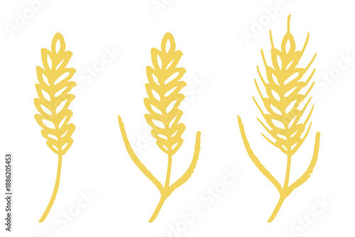 Set of hand drawn cereal wheat oat rye barley rice ears spikelet clipart Organic wheat bread agriculture farming harvest healthy food Single element for design print packaging label decor