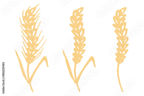 Set of hand drawn cereal wheat oat rye barley rice ears spikelet clipart Organic wheat bread agriculture farming harvest healthy food Single element for design print packaging label decor