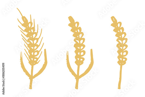 Set of hand drawn cereal wheat oat rye barley rice ears spikelet clipart Organic wheat bread agriculture farming harvest healthy food Single element for design print packaging label decor
