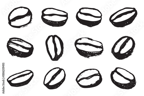 Set of hand drawn fresh roasted coffee bean Arabica robusta seed doodle Single element for design print packaging label decor