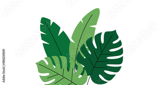 Tropical Leaves Vector Illustration