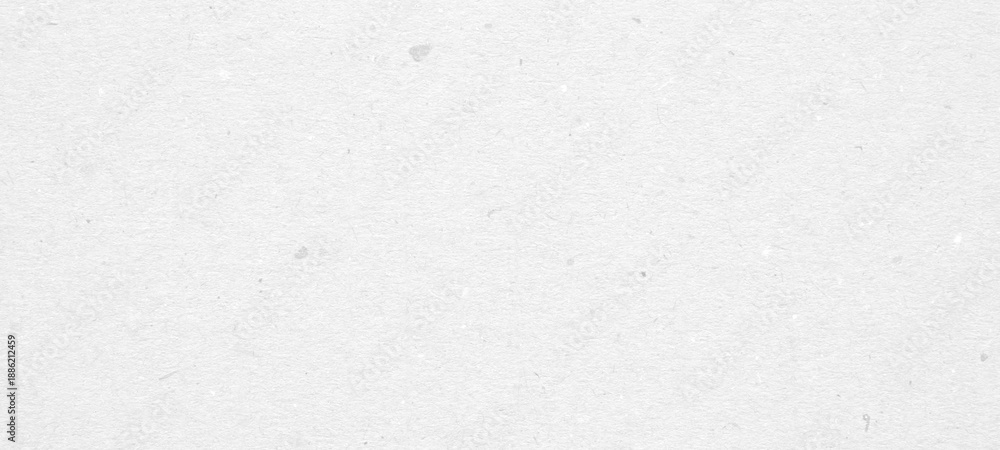 Fototapeta premium White recycle craft paper cardboard surface texture background