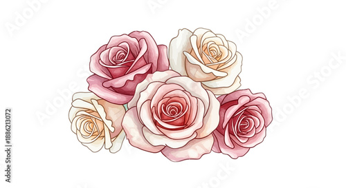 A delicate bouquet of roses illustration viewed from directly above in a soft environment