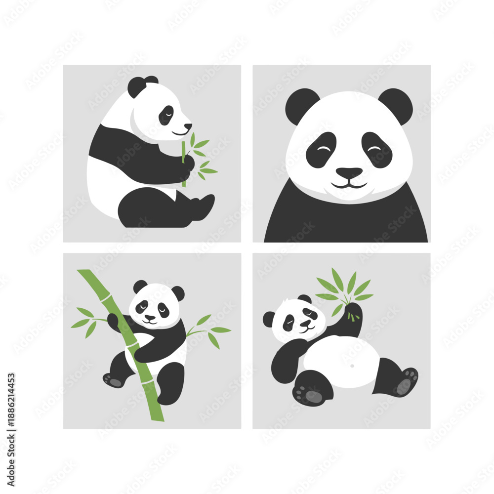 Obraz premium Giant Panda Vector Illustration Graphic Design Element