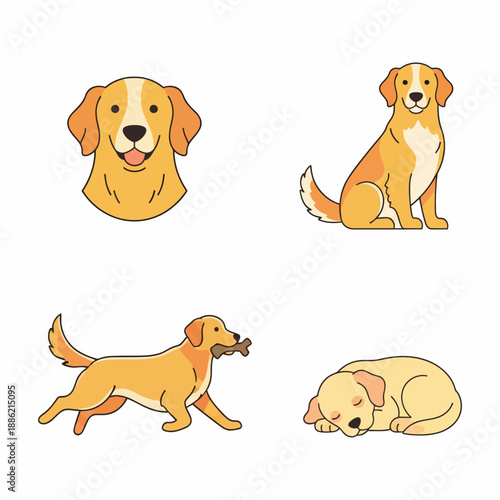 Adorable Golden Retriever Vector Illustration