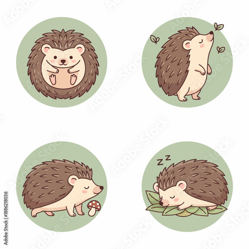 Colorful Hedgehog Vector Illustration Design