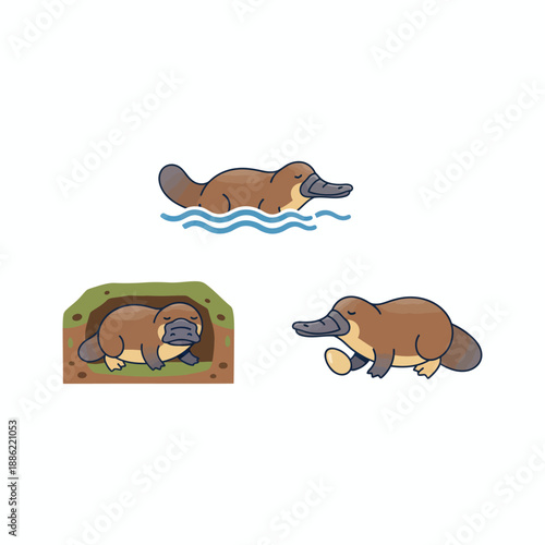 Australian platypus vector illustration graphic design element