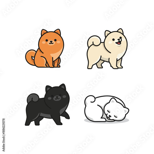 Adorable Friendly Pomeranian Dog Breed Portrait