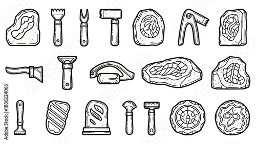 Various meat cuts and culinary tools vector illustration set