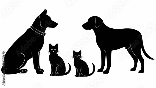 Silhouette of two dogs and two cats standing together.