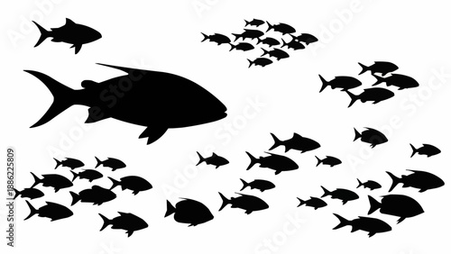 Silhouette School of Fish Swimming Together Underwater.