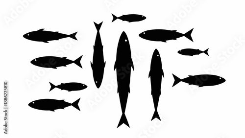 Silhouette School of Fish Swimming Together in Formation.