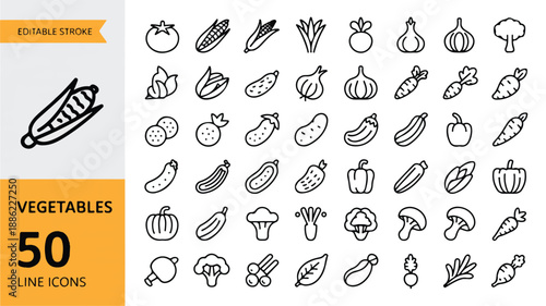 A vibrant set of editable outline vector icons featuring a diverse variety of 50 common vegetables, perfect for culinary and health-related design projects and infographics