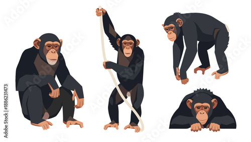 Chimpanzee Cartoon Set: Poses and Activities
