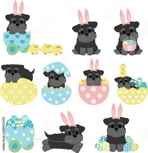 Adorable Easter Schnauzer Puppies with Bunny Ears and Chicks