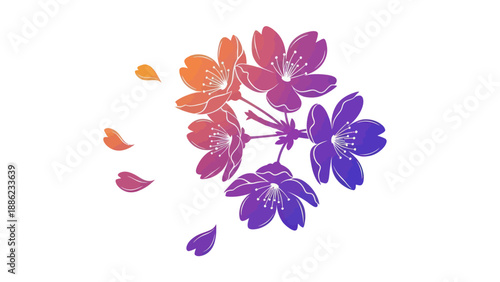 Gradient Cherry Blossoms Falling Petals Isolated on White Background