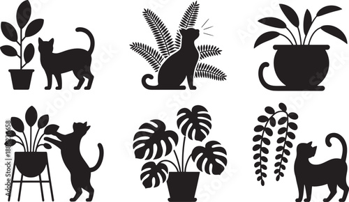 Collection of house plants and silhouette cats for nature and home decoration graphics