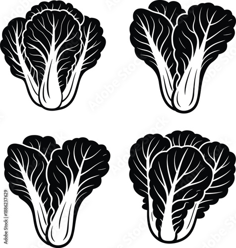 Chinese cabbage illustration set in bold black and white style, leafy vegetable icons collection, organic food graphic design elements