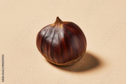 Wallpaper Mural Single fresh chestnut with glossy brown shell. Simple natural food for autumn and Thanksgiving cooking. Harvest concept. Torontodigital.ca